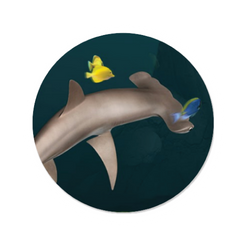 Illustration of a hammerhead shark from the virtual reality experience called Dive detectives.
