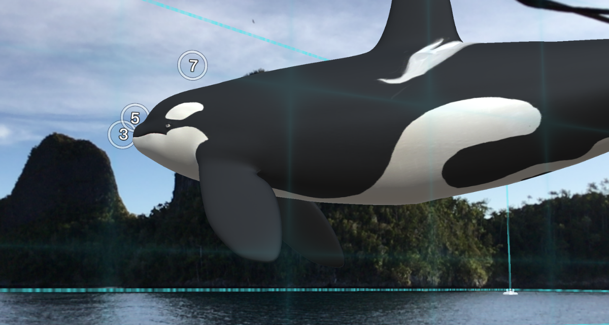 The augmented reality orca whale from "Where's Whaledo" floats over some water with a tropical tree line in the background.