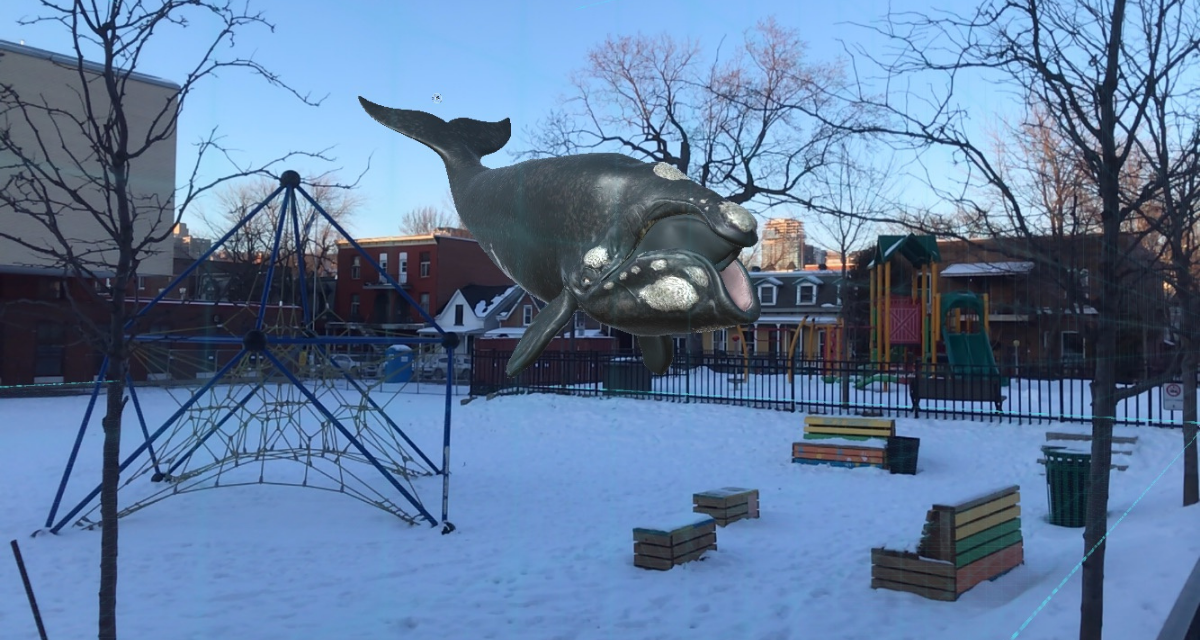 The augmented reality North Atlantic right whale from "Where's Whaledo" floats in a colourful children's playground on a snowy day.
